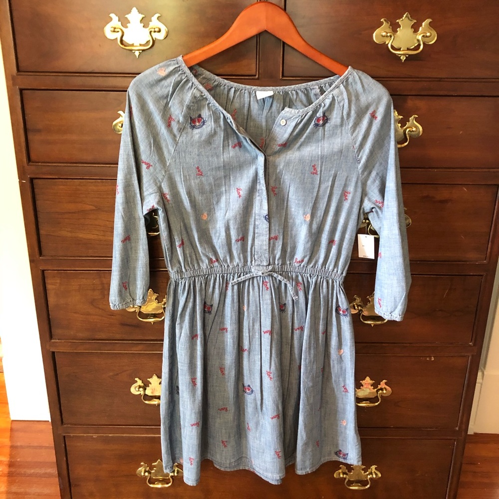Gap Kids Embroidered Denim Dress